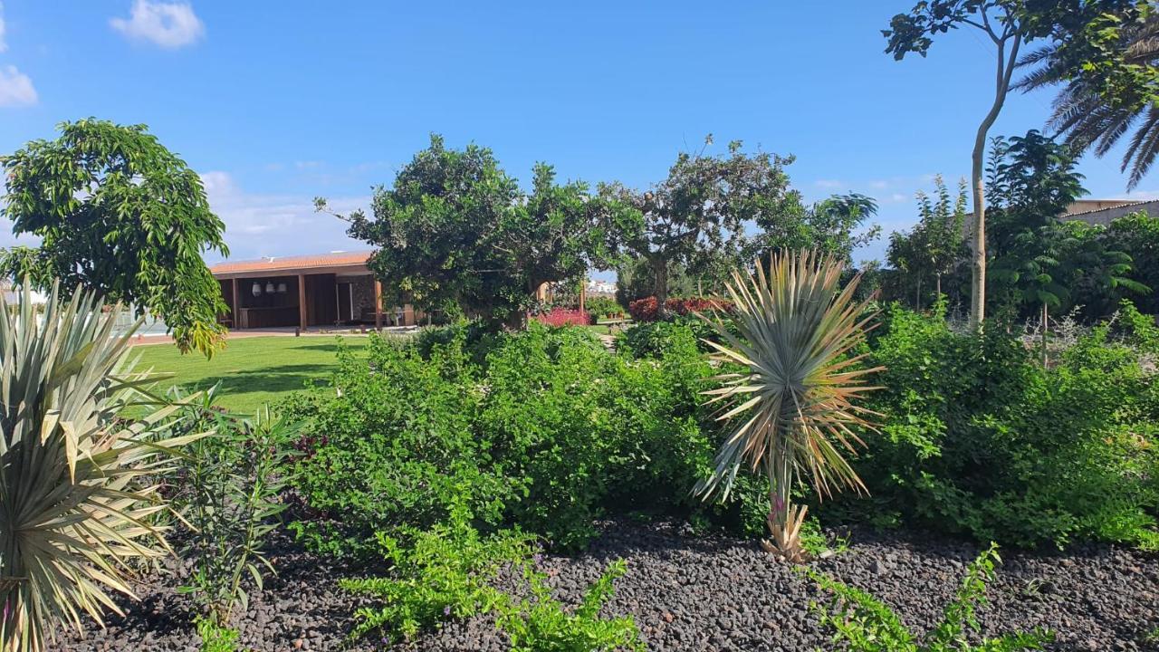 Finca La Suerte Grande Telde Εξωτερικό φωτογραφία