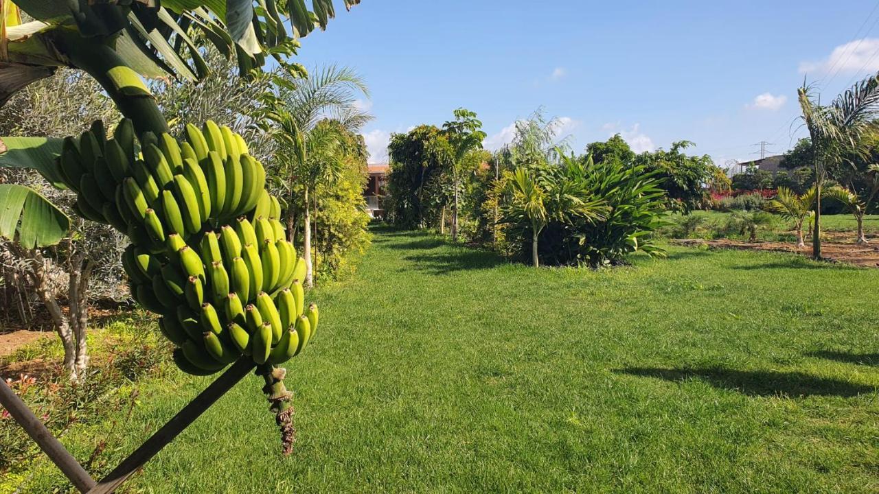 Finca La Suerte Grande Telde Εξωτερικό φωτογραφία